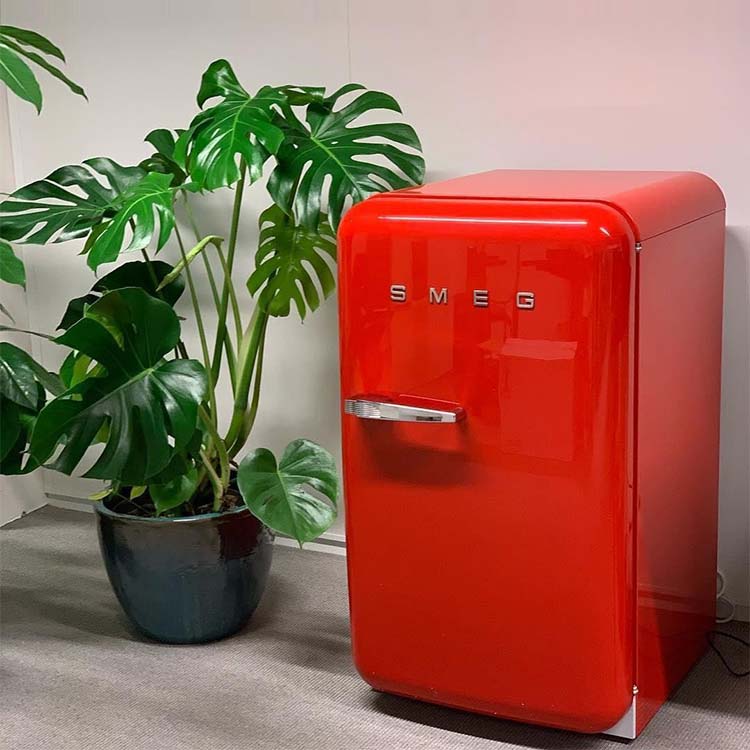 SMEG斯麦格FAB5意式复古冰箱家用小型低分呗无霜单门冷藏网红冰箱